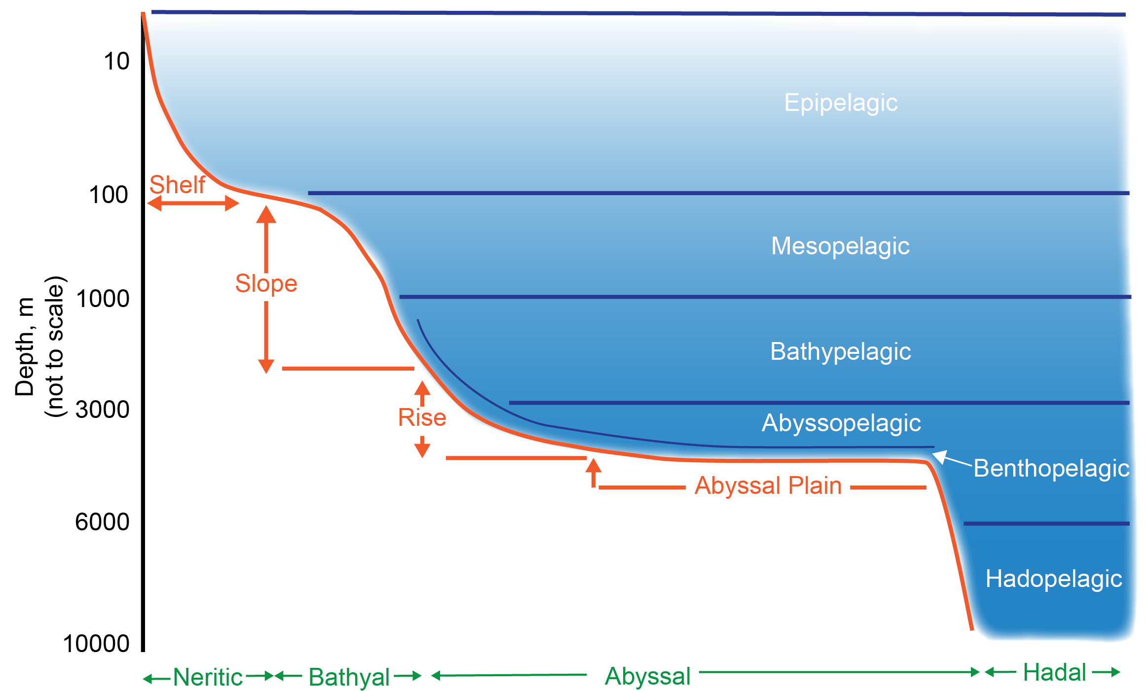 Oceanlevel